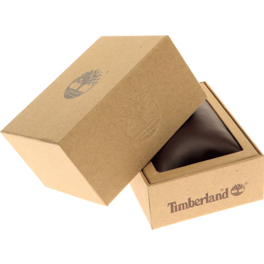 timberland randolph watch
